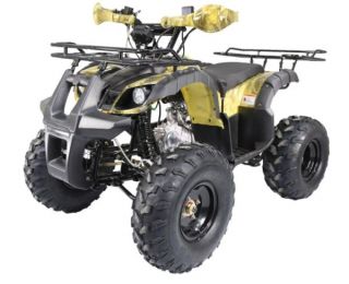 Квадроцикл ATV Termit TT Cross