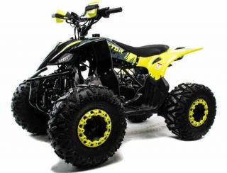 Квадроцикл MOTOLAND 125 Raptor