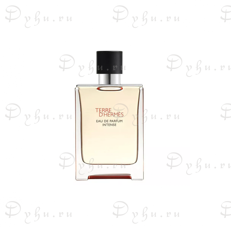 Hermes Terre d'Hermes Intense
