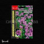 Verbena-Kanadskaya-mnogoletnyaya-0-05-g-Red-Sem