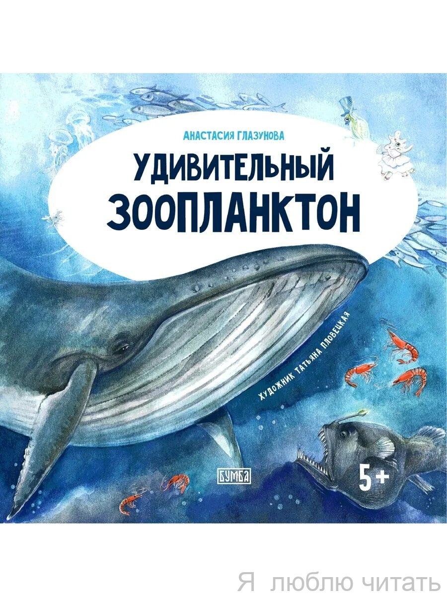 Удивительный зоопланктон