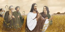 Иисус во ржи икона печатная (холст на дереве)