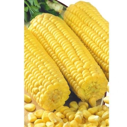 Кукуруза сахарная Алина, 25г семян
