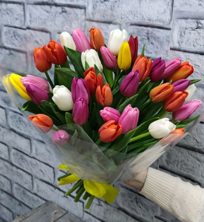 35  тюльпанов (Краснодарские) в прозрачной упаковке