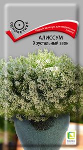Семена Алиссум Фиолетовая королева 0,3гр.