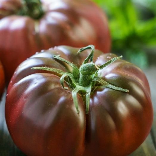 Томат Чёрный мастер, 50шт семян