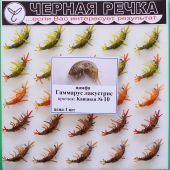 Муха ЧР Нимфа Гаммарус лакустрис