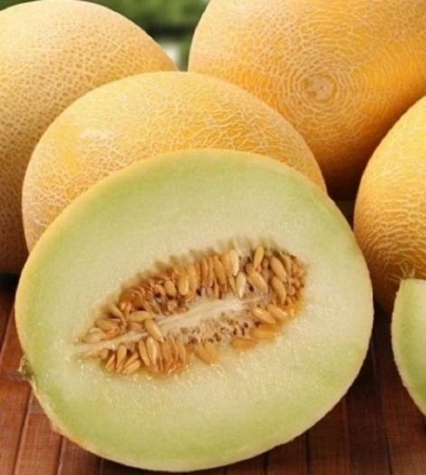 Дыня Лада, 50шт семян