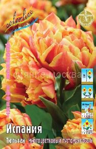 Тюльпан	Испания (Tulipa Spain), ГУСТОМАХРОВЫЙ МНОГОЦВЕТКОВЫЙ, 11/12, 1 шт
