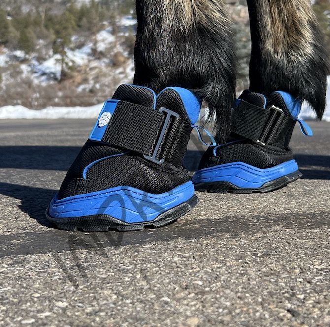 Ботинок для копыт Easyboot Rx2