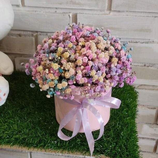 Радужная гипсофила в коробке мини