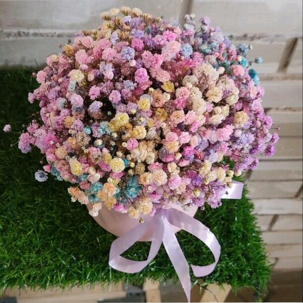 Радужная гипсофила в коробке мини