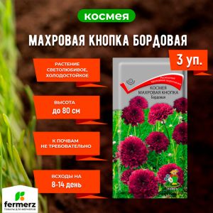 Семена Космея Махровая кнопка Бордовая 0,1гр. Комплект из 3 пакетиков