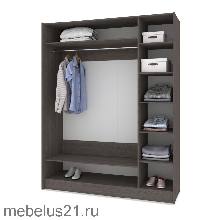 Шкаф купе Браун со вставкой 1600