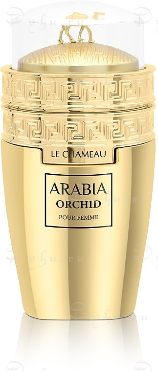 Le Chameau Arabia Orchid