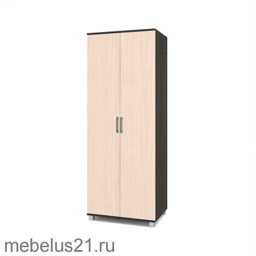 Шкаф 2-х створчатый Ева Е-21