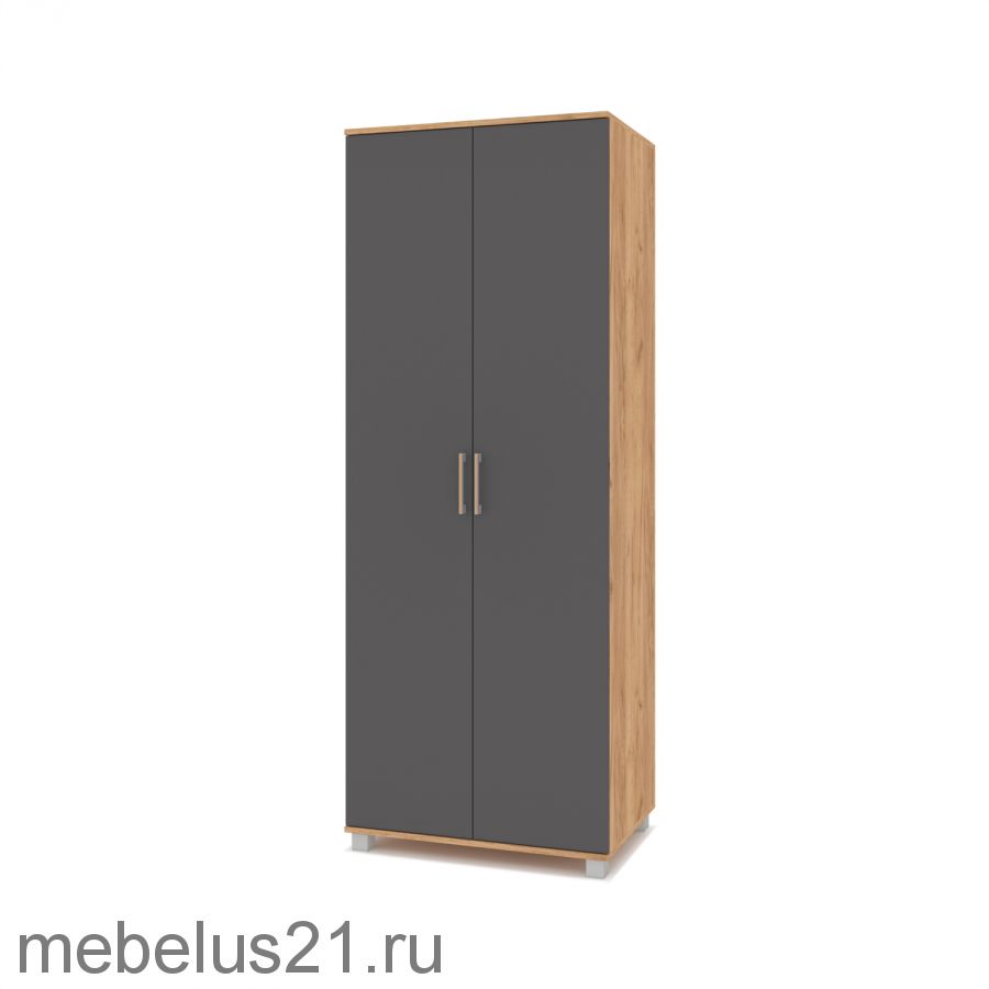 Шкаф 2-х створчатый Ева Е-21