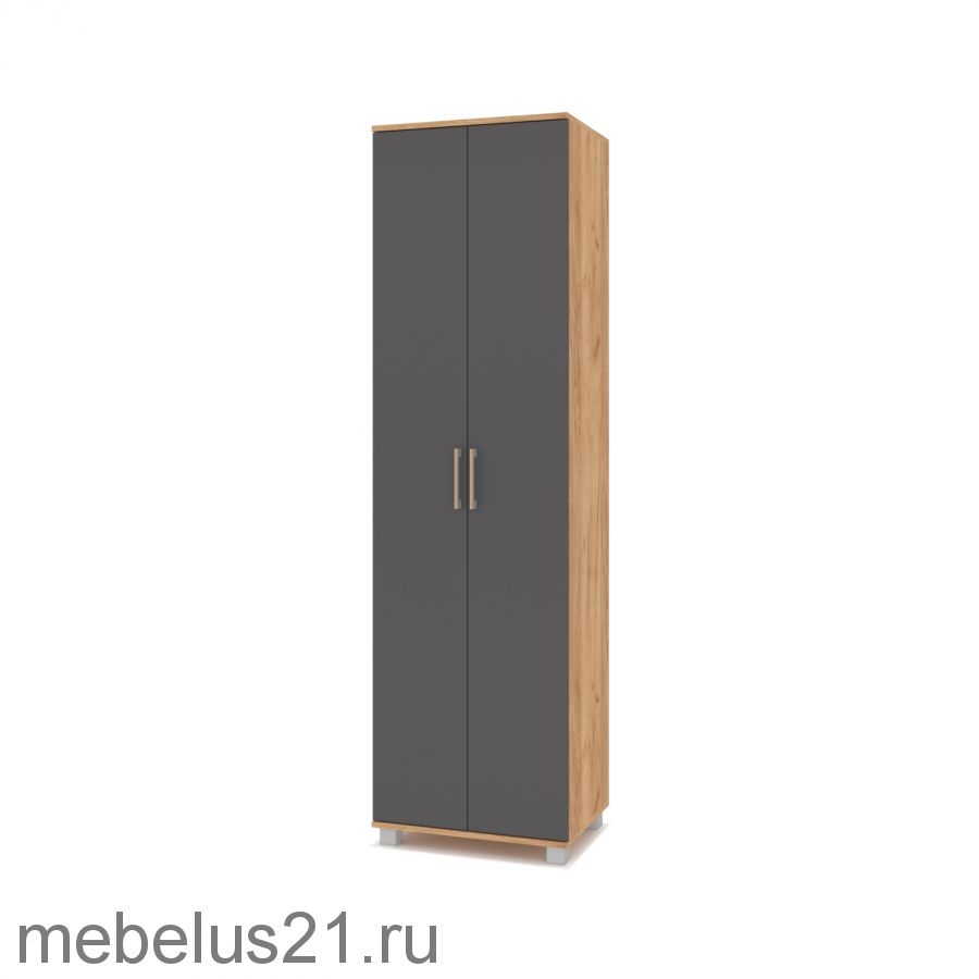 Шкаф 2-х створчатый Карина К-21