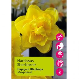 Нарцисс Шерборн 5шт /Narcissus Sherborne