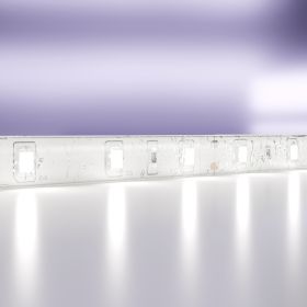 Светодиодная Лента 4,8Вт/м 24V IP65 6000K Maytoni 10141.