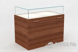 Витрина для музея