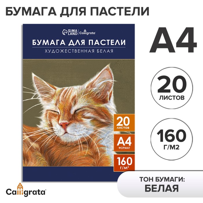 Бумага для пастели А4, 20 листов "Кот", блок 160 г/м2, в папке