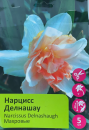 Нарциссы Делнашау 5шт 14/16/Narcissus Delnashaugh