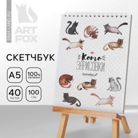 Скетчбук «Кот» А5, 40 л, 100 г/м