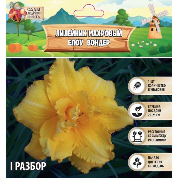 Лилейник "Double Yellow Wonder", р-р I, 1 шт,