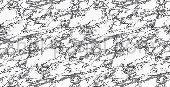 8230 Calacatta Viola