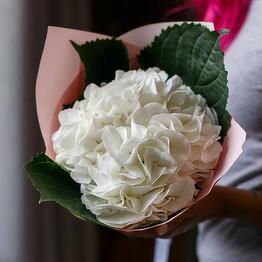 Букет из гортензии