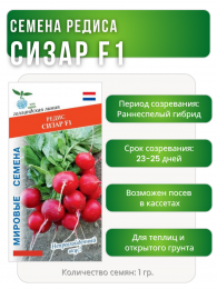 Редис Сизар F1, Мировые Семена VITA GREEN