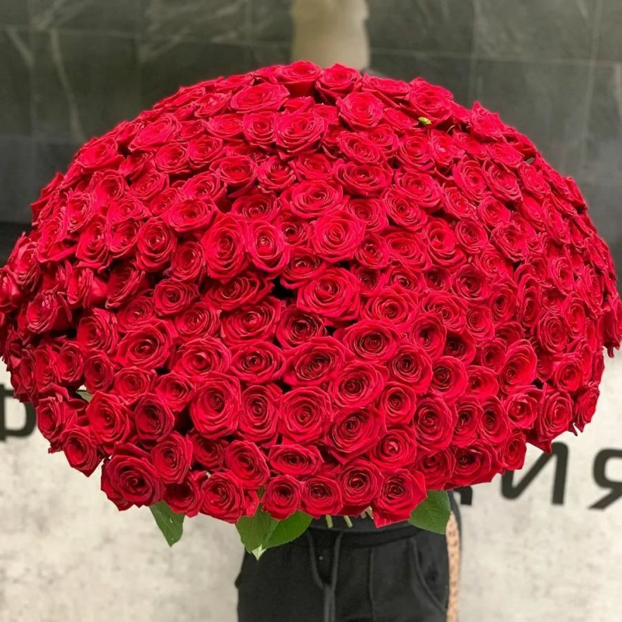 Букет из 201 красной розы