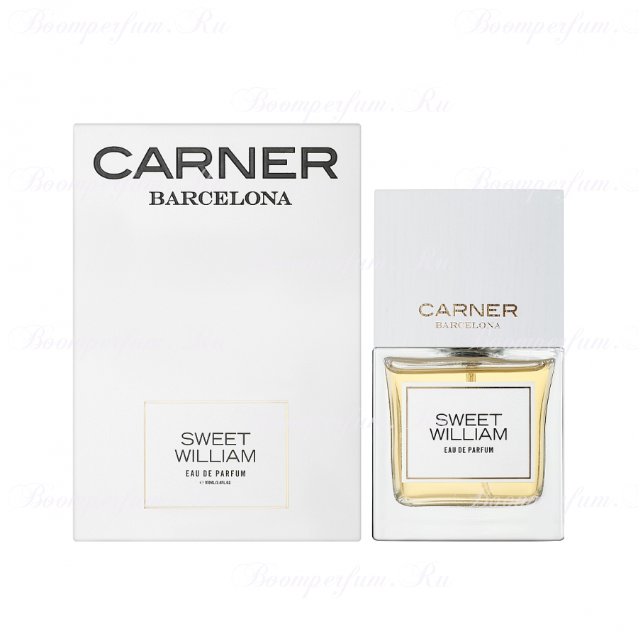 Carner Barcelona Sweet William