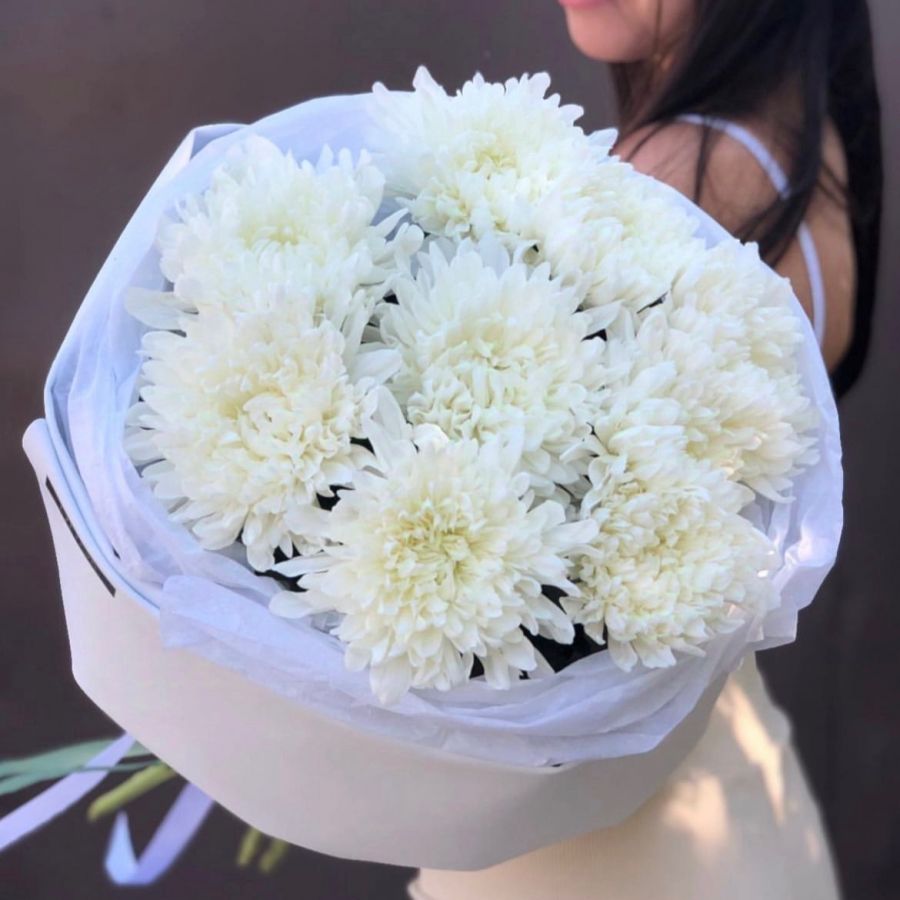 Хризантемы белые