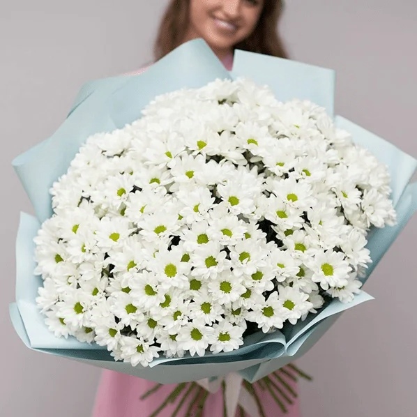 35 кустовых хризантем в ленте