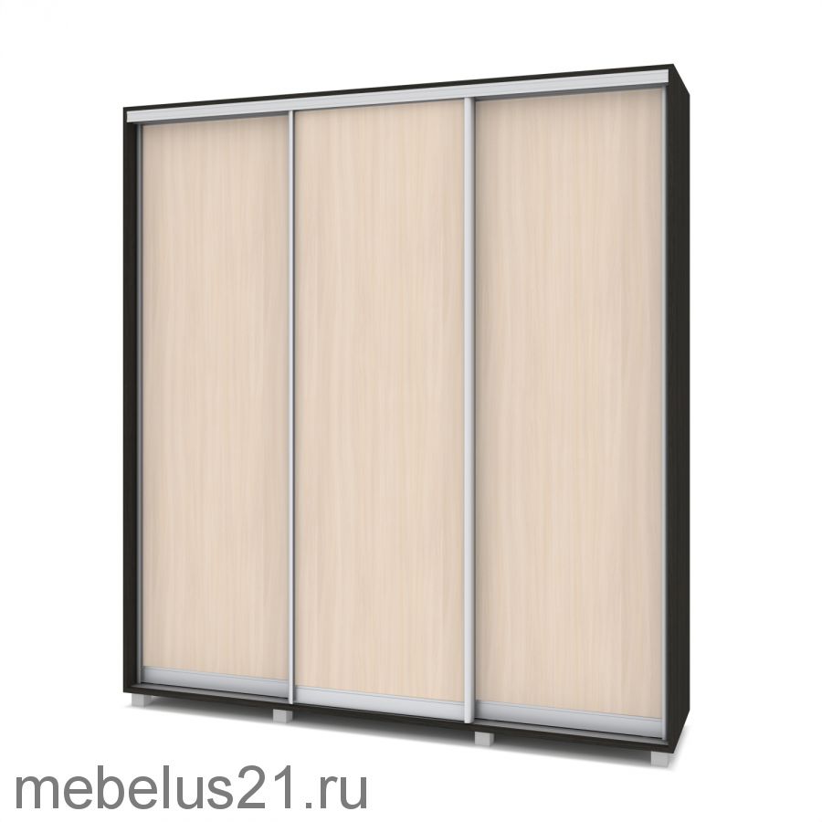 Шкаф купе Мартин 2 м
