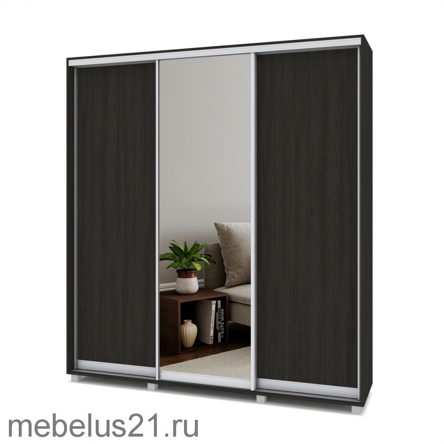 Шкаф купе Мартин с 1 зеркалом 2,4 м