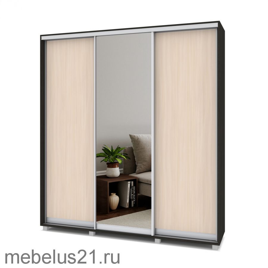 Шкаф купе Мартин с 1 зеркалом 2,4 м