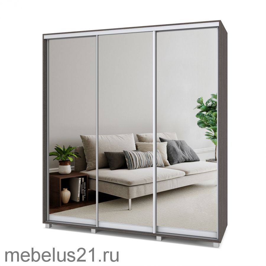 Шкаф купе Мартин с зеркалом 2,4 м