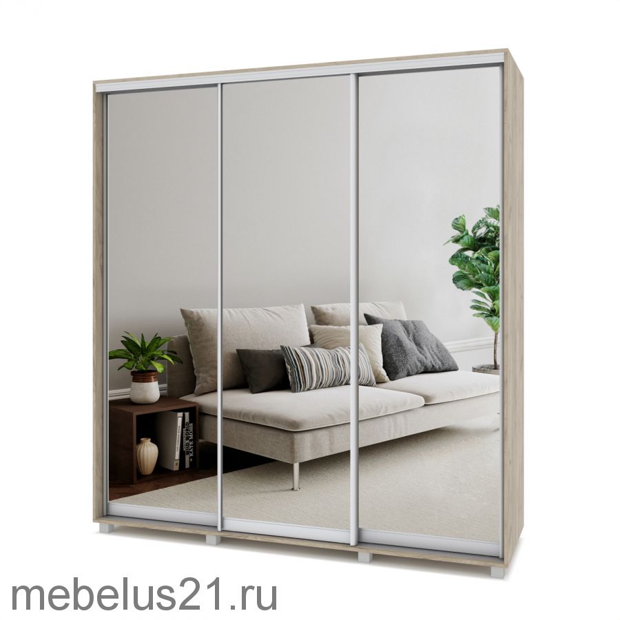 Шкаф купе Мартин с зеркалом 2,4 м