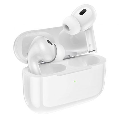 Беспроводные наушники Hoco EW63 с кейсом