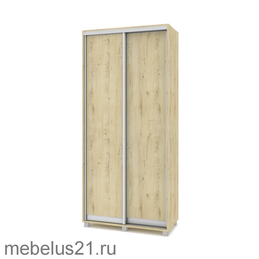 Шкаф купе Роланд 1 м