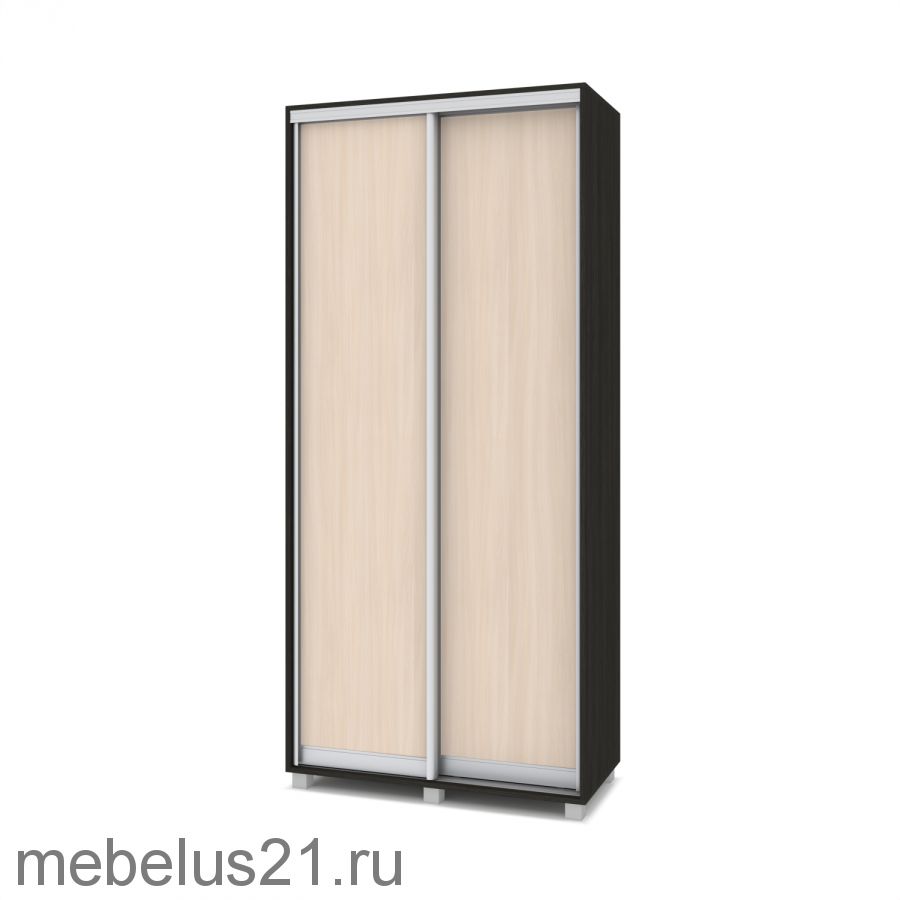 Шкаф купе Роланд 1,2 м