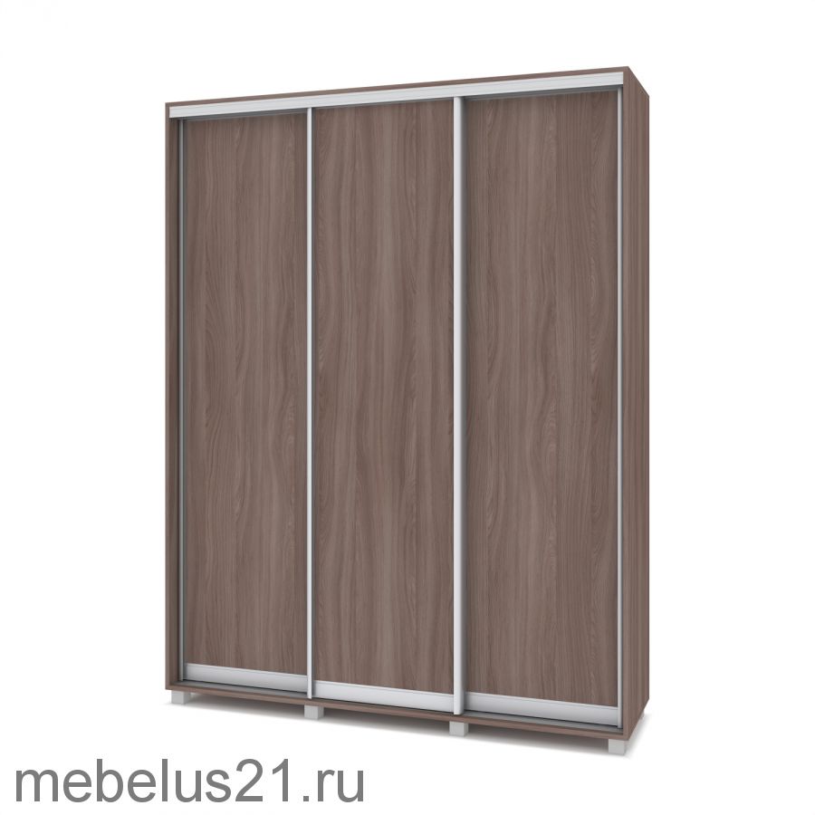 Шкаф купе Роланд 1,6 м