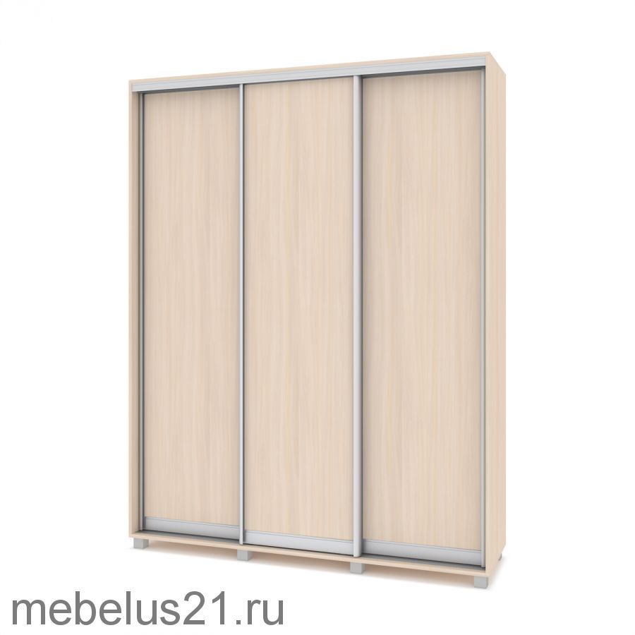 Шкаф купе Роланд 1,6 м