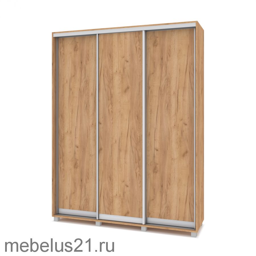 Шкаф купе Роланд 1,6 м