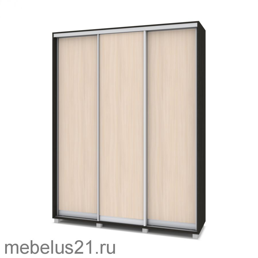 Шкаф купе Роланд 1,6 м