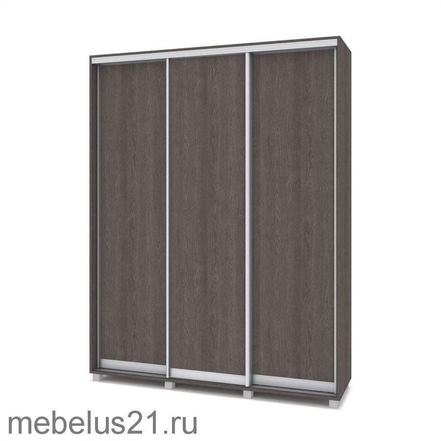 Шкаф купе Роланд 1,6 м