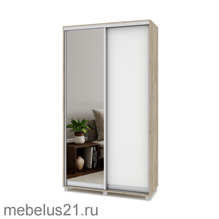 Шкаф купе Роланд с зеркалом 1 м